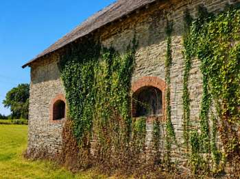 Vente Terrain 14000 m&sup2;Thuboeuf
