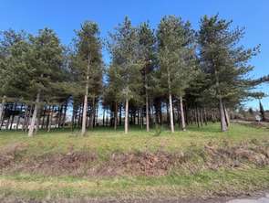 Vente Terrain 3000 m&sup2;Tiercé