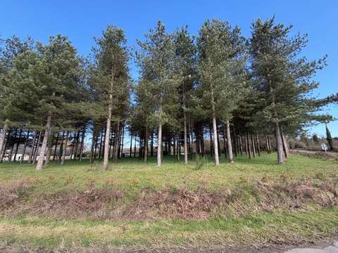 Vente de terrain Tiercé 49