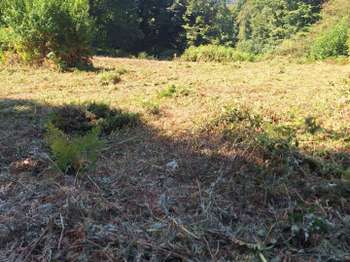 Vente de terrain Tinchebray-Bocage 61