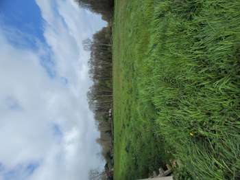 Vente Terrain 332 m&sup2;Torcé