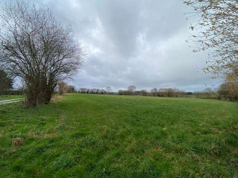 Vente de terrain Torigny-les-Villes 50