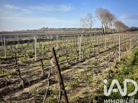 Vente de terrain Tourbes 34