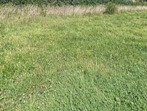 Vente Terrain 500 m&sup2;Tréboul