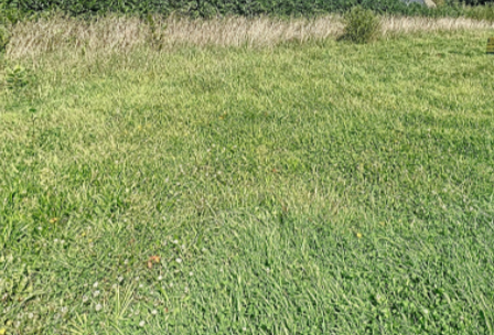Vente de terrain Tréboul 29