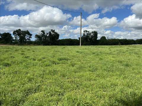 Vente de terrain Trébrivan 22