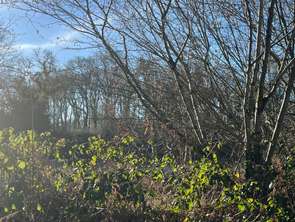 Vente Terrain 6028 m&sup2;Treffrin