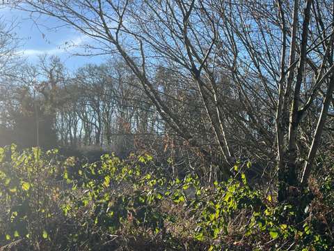 Vente de terrain Treffrin 22