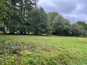 Vente Terrain 1155 m&sup2;Treffrin