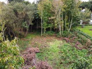 Vente de terrain