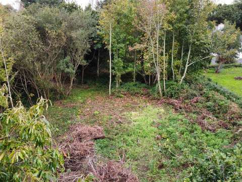 Vente de terrain Trégastel 22