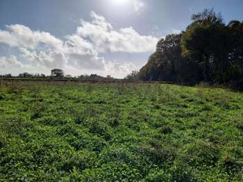 Vente de terrain