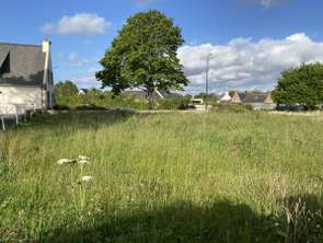 Vente Terrain 731 m&sup2;Trélévern