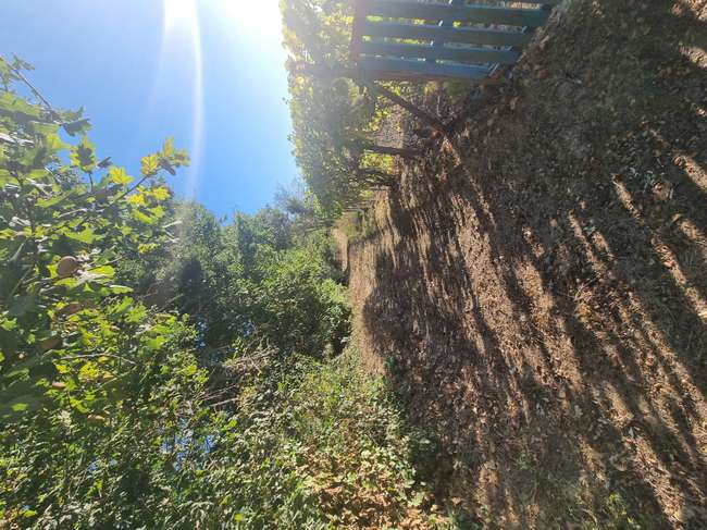 Terrain 1000 m² · à Trémeur · 1 000 m² · 49 000 €