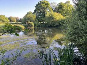 Vente Terrain 6440 m&sup2;Trévé