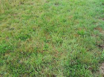 Vente Terrain 513 m&sup2;Tréveneuc