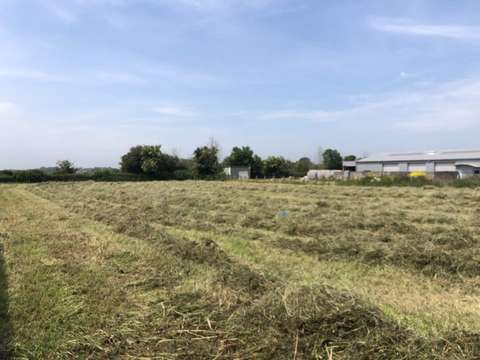 Vente de terrain