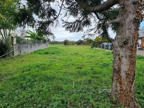 Vente de terrain