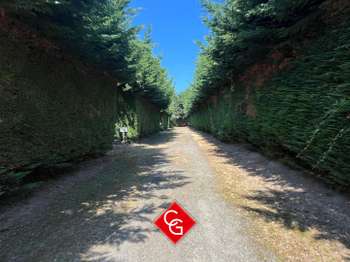 Vente de terrain Trévières 14