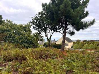 Vente Terrain 854 m&sup2;Trévou-Tréguignec