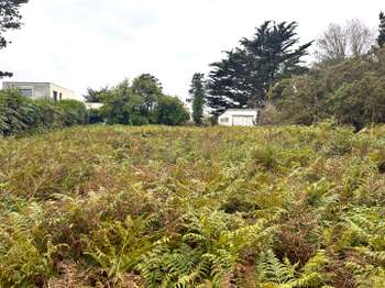 Vente de terrain