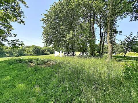 Vente de terrain