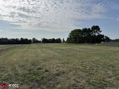 Vente de terrain Triaize 85