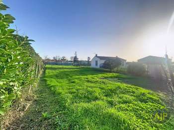 Vente de terrain Triaize 85