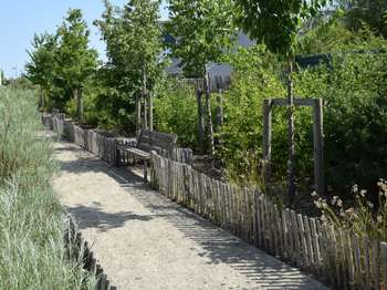Vente de terrain