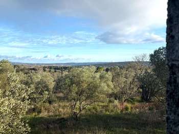 Vente Terrain 6050 m&sup2;Uzès