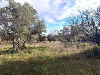 Vente Terrain 5000 m&sup2;Uzès