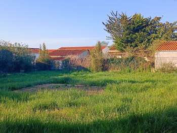 Vente de terrain Vairé 85