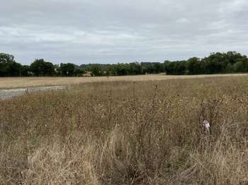 Vente Terrain 1162 m&sup2;Vallans