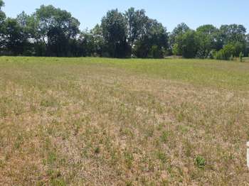 Vente Terrain 5685 m&sup2;Vallans