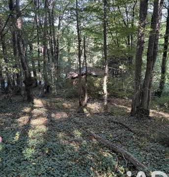 Vente de terrain