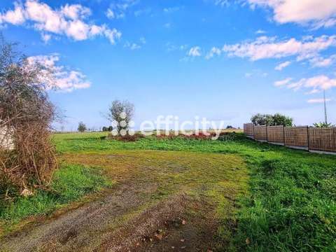 Vente de terrain Vallet 44