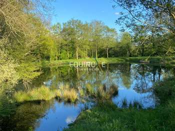 Vente de terrain Vallet 44