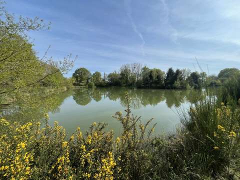 Vente de terrain Vallons-de-l'Erdre 44