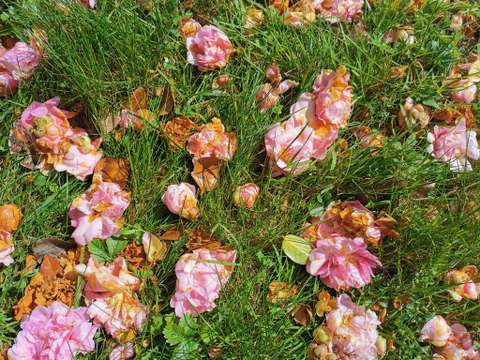 Vente de terrain Vannes 56