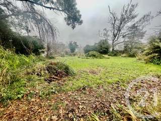 Vente de terrain