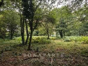 Vente Terrain 3656 m&sup2;Vannes Vincin