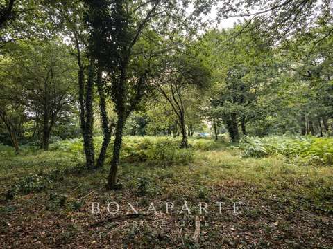 Vente de terrain Vannes Vincin 56