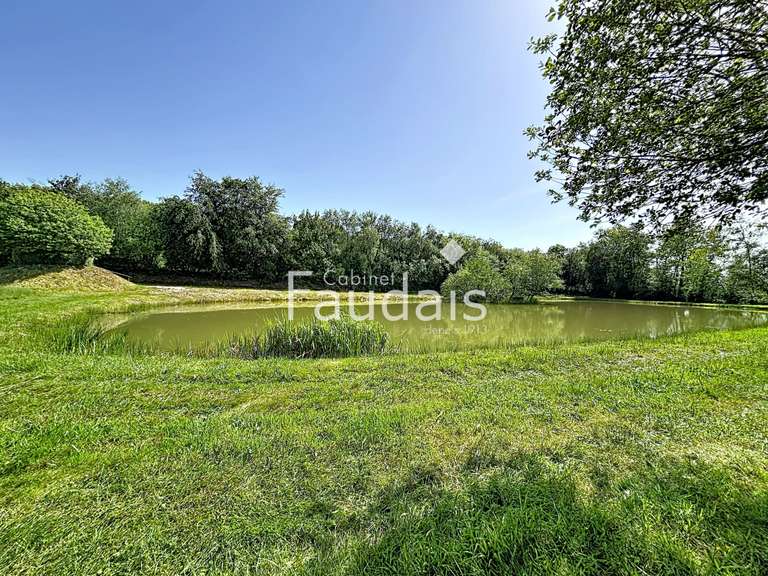 Vente de terrain