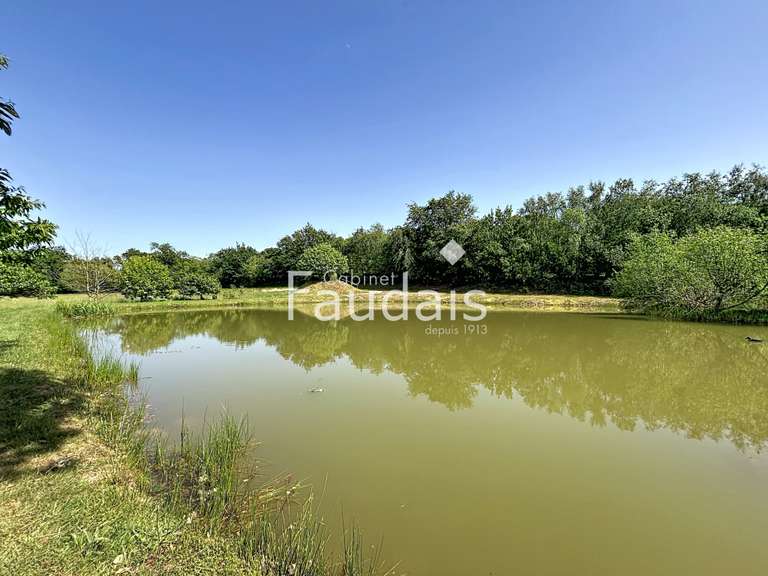 Vente de terrain