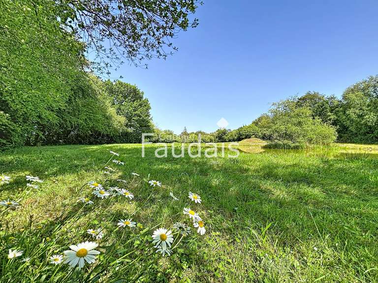 Vente de terrain