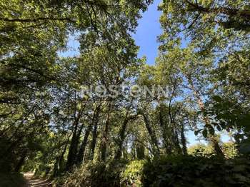 Vente Terrain 4394 m&sup2;Vaudelnay