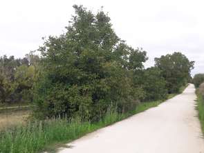 Vente Terrain 575 m&sup2;Vern-sur-Seiche