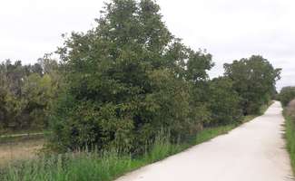 Photo Vente de terrain Vern-sur-Seiche
