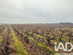 Vente Terrain 39692 m&sup2;Vernou-sur-Brenne