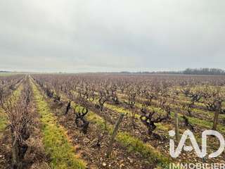 Vente de terrain